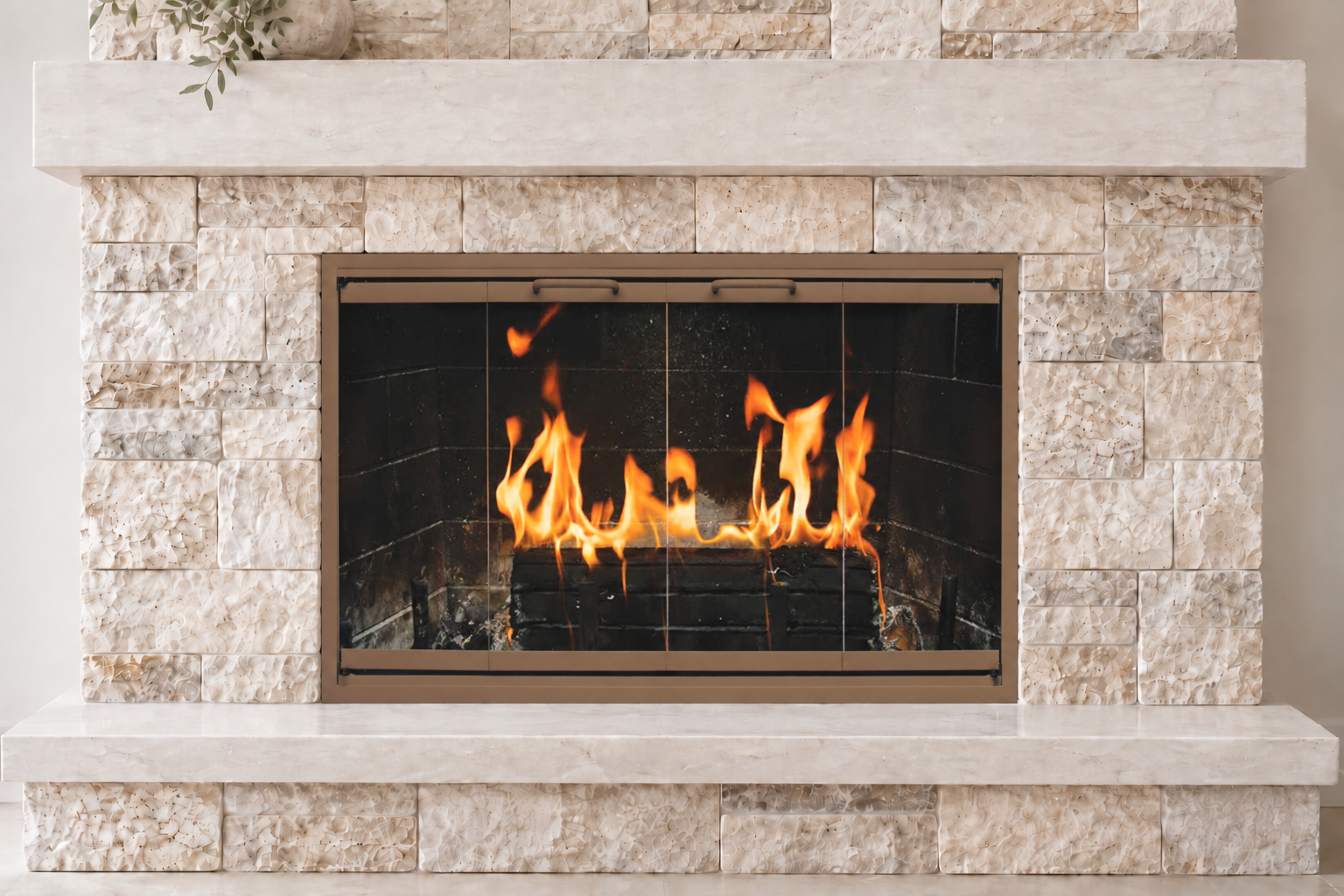 Z Door glass fireplace door